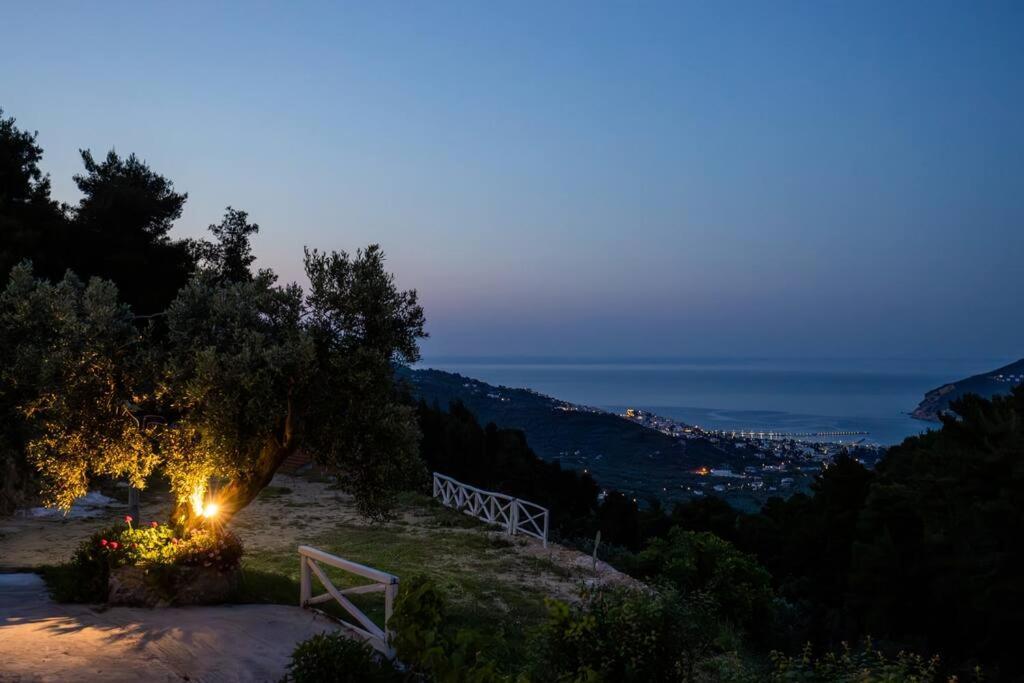 Villa Koukounaria Σκόπελος Εξωτερικό φωτογραφία