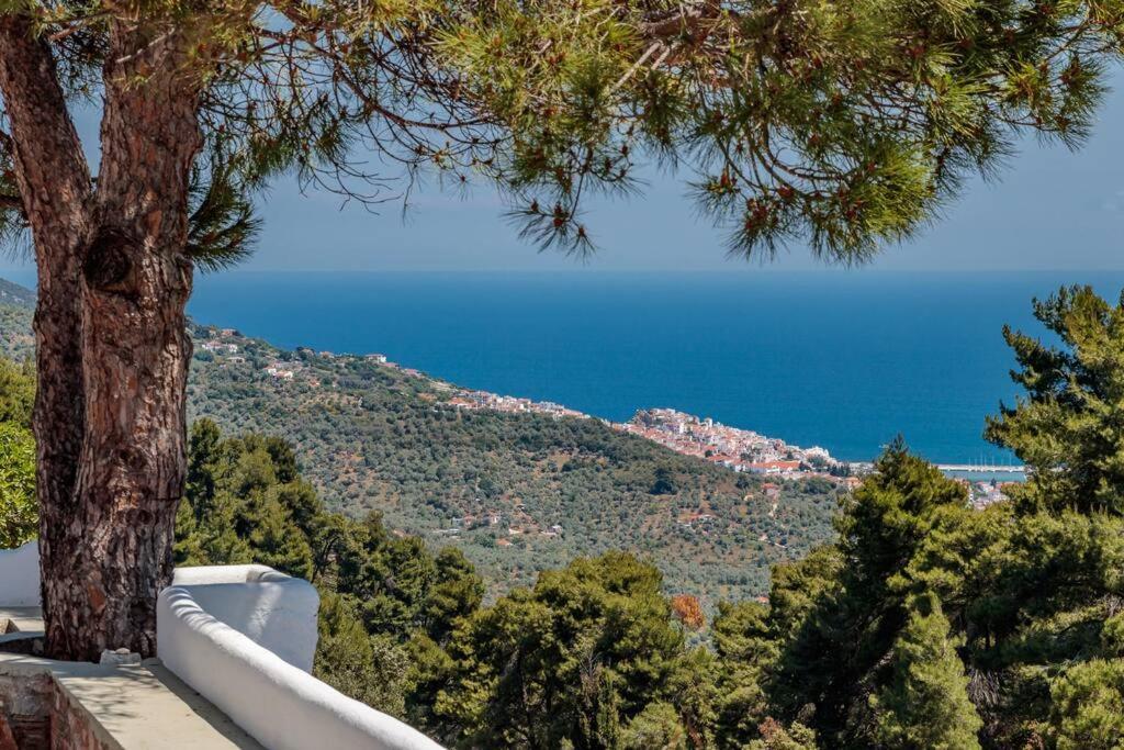Villa Koukounaria Σκόπελος Εξωτερικό φωτογραφία
