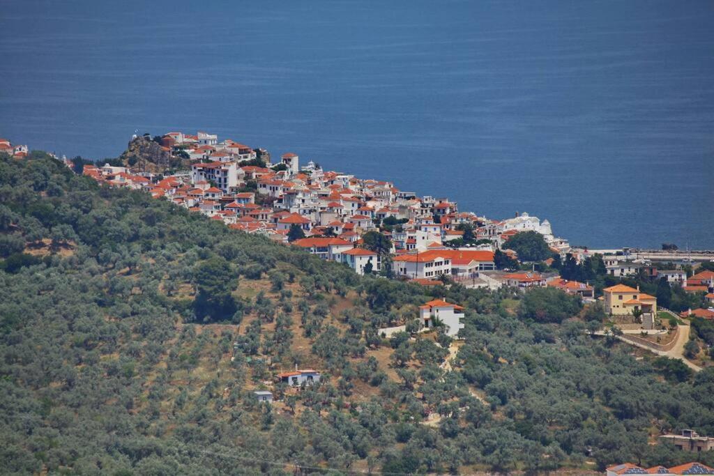 Villa Koukounaria Σκόπελος Εξωτερικό φωτογραφία