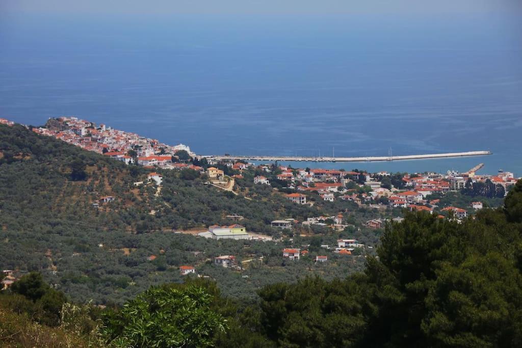 Villa Koukounaria Σκόπελος Εξωτερικό φωτογραφία