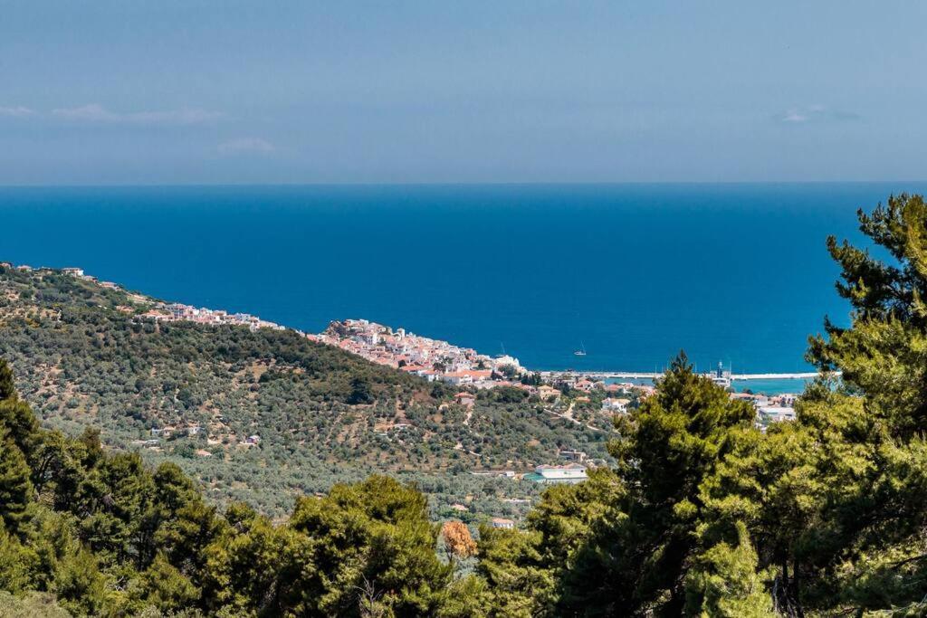 Villa Koukounaria Σκόπελος Εξωτερικό φωτογραφία